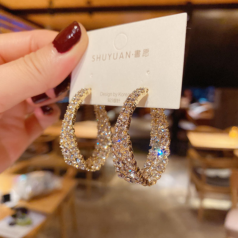 South Korea web celebrity super fairy temperament elegant Hyun fashion fashion earrings delicate purple flowers rose earrings