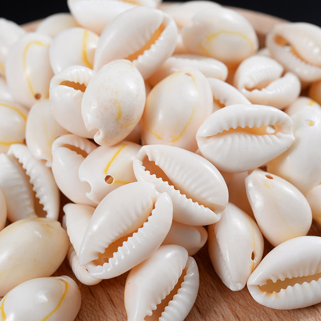 15mm Natural Shell Conch Beads Charm Oval Cowry Cowrie Tribal Loose Spacer Beads For Jewelry Making Bracelet Crafts Accessories